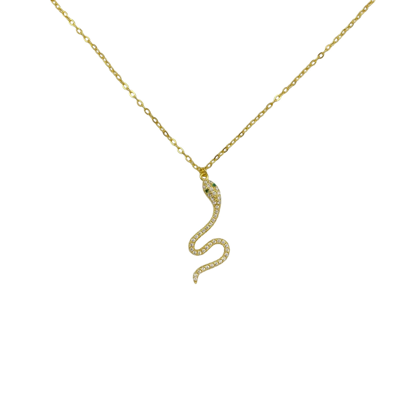 Silver necklace with snake charm