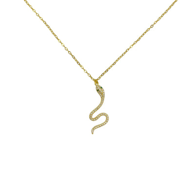 Silver necklace with snake charm